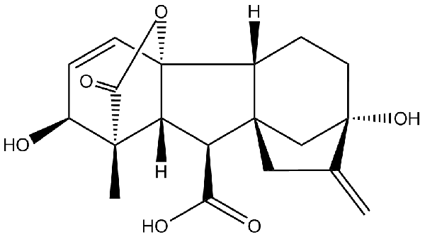 赤霉素GIBBERELLIC ACID，居然有這么神奇？